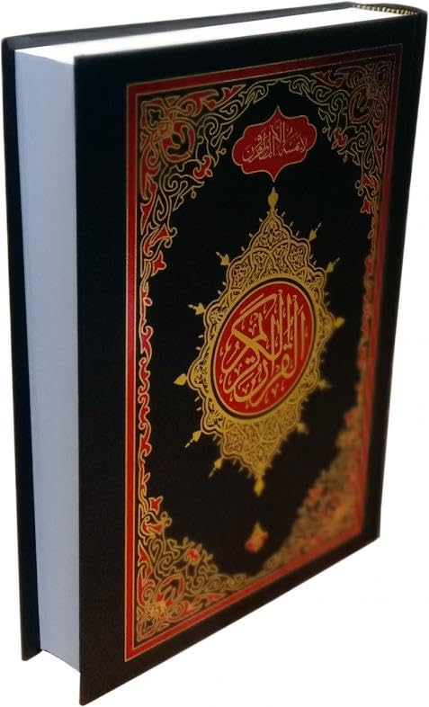 Al Quran Karim Quran 11 line Mushaf (Arabic Edition) Bold Letters - indo pak script with Bold Letters (19x25cm) Large Size Koran- Taj Company Quran arabic quran for kids islamic books