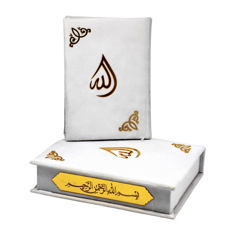 taj Holy Quran VELVET IN A BOX islamic gifts umrah mubarak gifts islamic decor nikkah gifts gifts for muslim women gifts for muslims eid gift set islamic gifts for men (QURAN 14 * 20cm, BLACK)